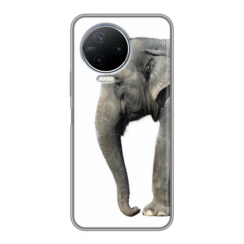 Дизайнерский пластиковый чехол для Infinix Note 12 Pro Слоны