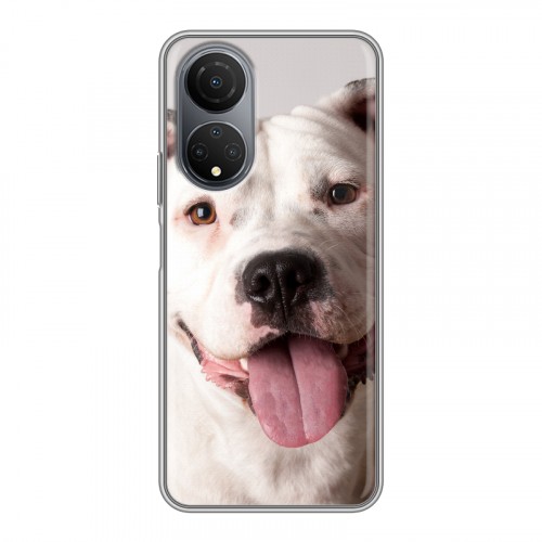 Дизайнерский пластиковый чехол для Huawei Honor X7 Собаки