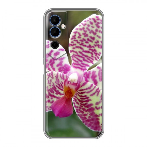 Дизайнерский силиконовый чехол для Tecno Pova Neo 2 Орхидеи