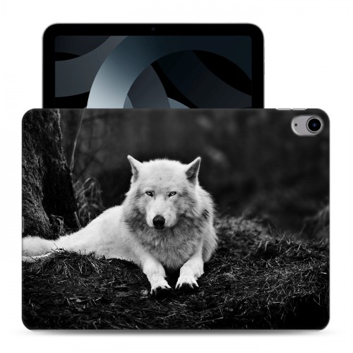 Дизайнерский пластиковый чехол для Ipad 10.9 (2022) Волки