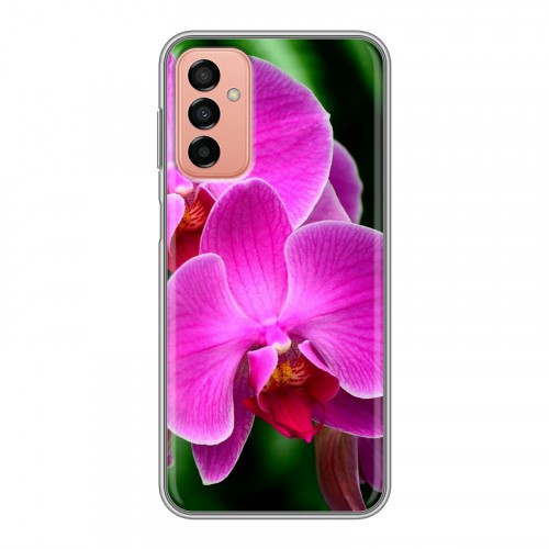 Дизайнерский силиконовый чехол для Samsung Galaxy M23 5G Орхидеи
