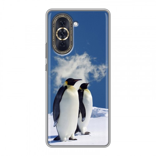 Дизайнерский силиконовый с усиленными углами чехол для Huawei Nova 10 Пингвины