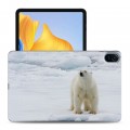 Дизайнерский силиконовый чехол для Huawei Honor Pad 8 Медведи