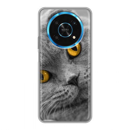 Дизайнерский силиконовый чехол для Huawei Honor Magic 4 Lite 5G Кошки