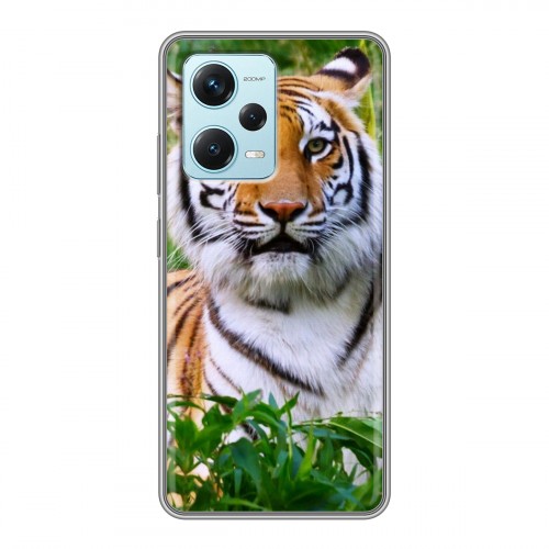 Дизайнерский силиконовый чехол для Xiaomi RedMi Note 12 Pro Plus Тигры