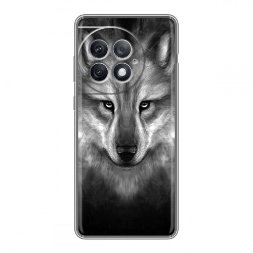 Дизайнерский силиконовый чехол для OnePlus Ace 2 Pro Волки
