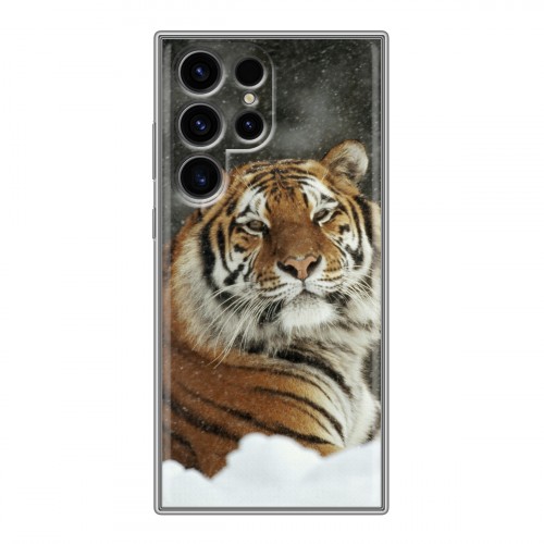 Дизайнерский силиконовый чехол для Samsung Galaxy S24 Ultra Тигры