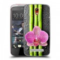 Дизайнерский пластиковый чехол для HTC Desire 500 Орхидеи