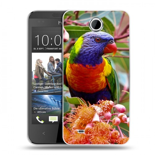 Дизайнерский пластиковый чехол для HTC Desire 300 Попугаи
