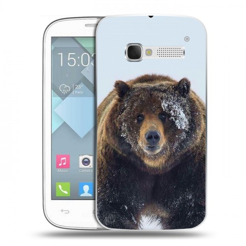 Дизайнерский пластиковый чехол для Alcatel One Touch Pop C5 Медведь