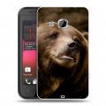 Дизайнерский пластиковый чехол для HTC Desire 200 Медведи