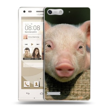 Дизайнерский силиконовый чехол для Huawei Ascend G6 Свинки (на заказ)