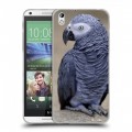 Дизайнерский пластиковый чехол для HTC Desire 816 Попугаи