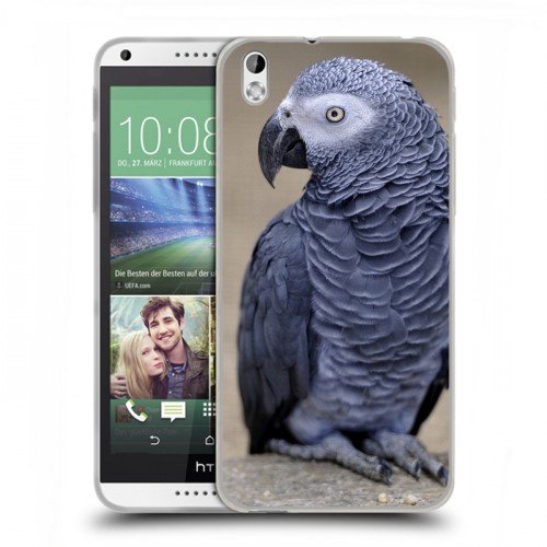 Дизайнерский пластиковый чехол для HTC Desire 816 Попугаи