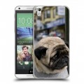 Дизайнерский пластиковый чехол для HTC Desire 816 Собаки