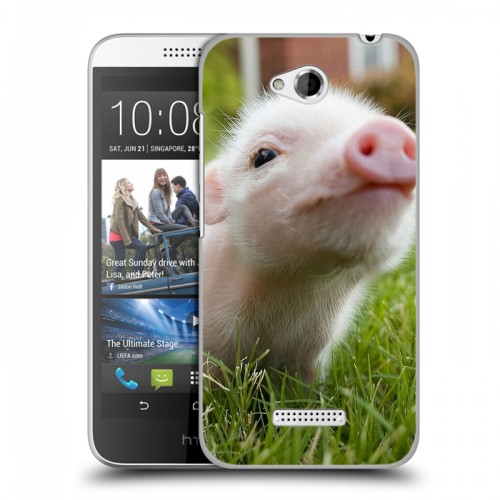 Дизайнерский пластиковый чехол для HTC Desire 616 Свинки
