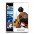 Дизайнерский пластиковый чехол для Nokia Lumia 830 Сверхлюди