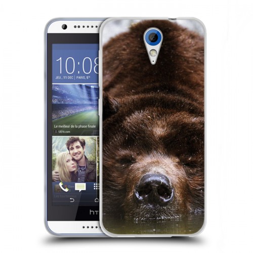 Дизайнерский пластиковый чехол для HTC Desire 620 Медведи