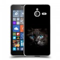 Дизайнерский пластиковый чехол для Microsoft Lumia 640 XL Кот в темноте