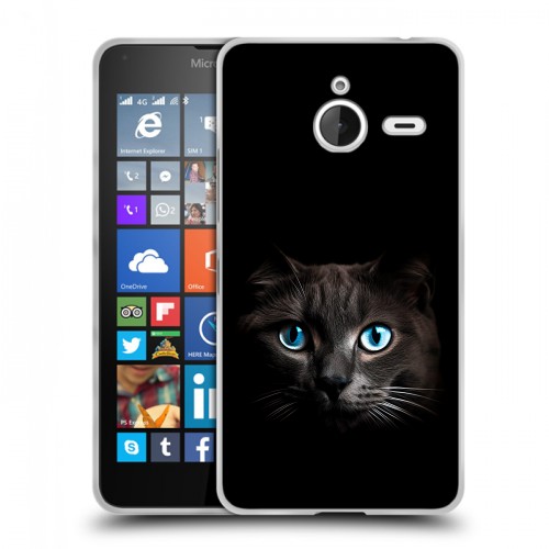 Дизайнерский пластиковый чехол для Microsoft Lumia 640 XL Кот в темноте