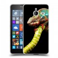 Дизайнерский пластиковый чехол для Microsoft Lumia 640 XL Ящерицы