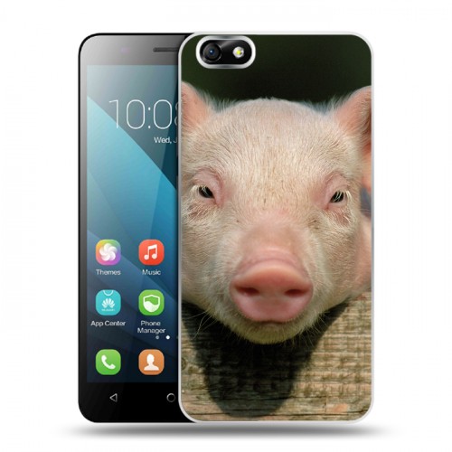 Дизайнерский пластиковый чехол для Huawei Honor 4X Свинки