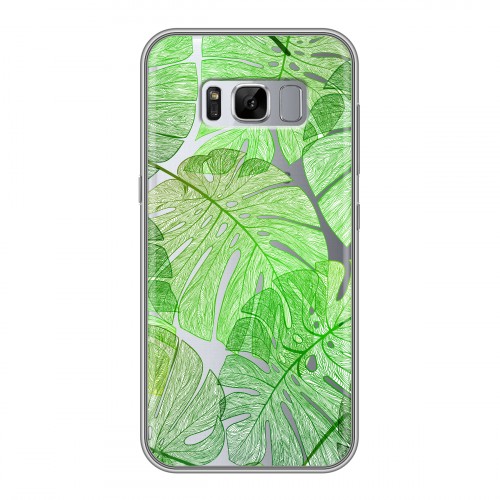 Полупрозрачный дизайнерский пластиковый чехол для Samsung Galaxy S8 Plus Прозрачные листья
