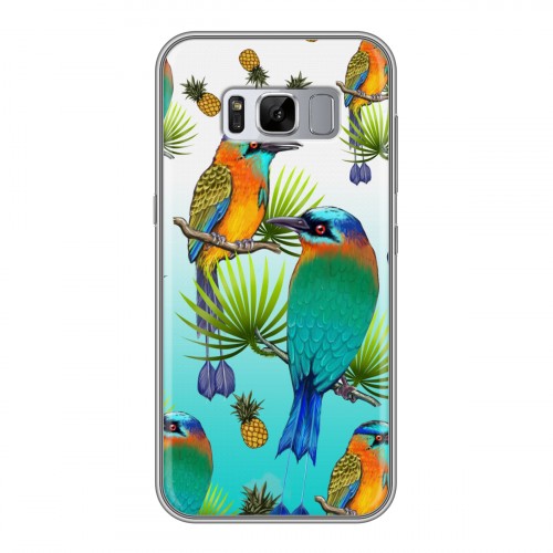 Дизайнерский силиконовый чехол для Samsung Galaxy S8 Plus Птицы и фрукты