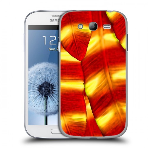 Дизайнерский пластиковый чехол для Samsung Galaxy Grand Контрастные перья