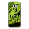 Дизайнерский силиконовый чехол для Samsung Galaxy S8 Plus Змеи