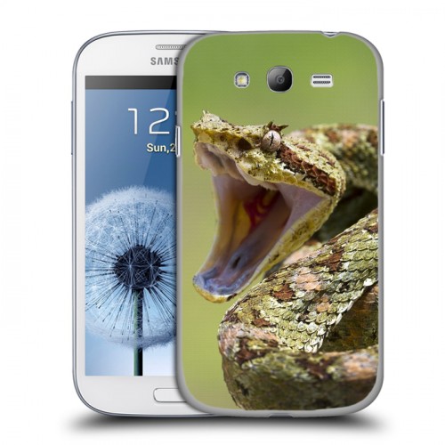 Дизайнерский пластиковый чехол для Samsung Galaxy Grand Змеи