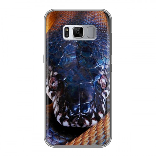 Дизайнерский силиконовый чехол для Samsung Galaxy S8 Plus Змеи