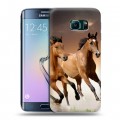 Дизайнерский пластиковый чехол для Samsung Galaxy S6 Edge Лошади