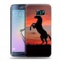 Дизайнерский пластиковый чехол для Samsung Galaxy S6 Edge Лошади