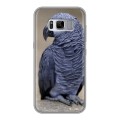 Дизайнерский силиконовый чехол для Samsung Galaxy S8 Plus Попугаи