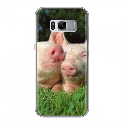Дизайнерский силиконовый чехол для Samsung Galaxy S8 Plus Свинки
