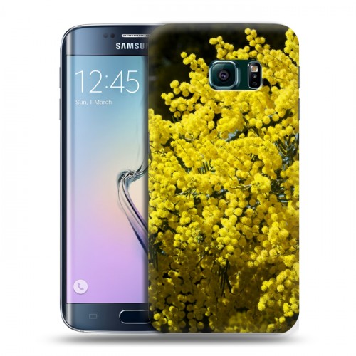 Дизайнерский силиконовый чехол для Samsung Galaxy S6 Edge Мимоза