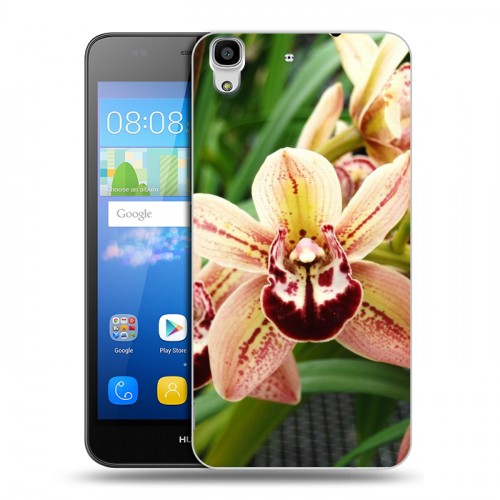 Дизайнерский пластиковый чехол для Huawei Y6 Орхидеи