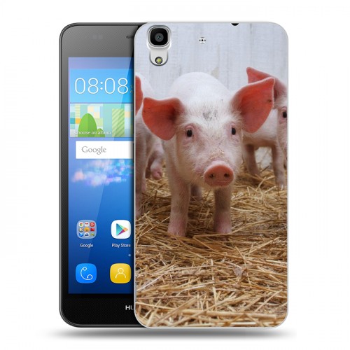 Дизайнерский пластиковый чехол для Huawei Y6 Свинки
