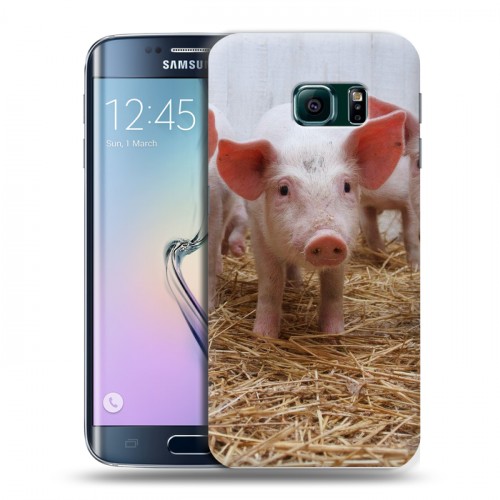 Дизайнерский пластиковый чехол для Samsung Galaxy S6 Edge Свинки