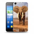 Дизайнерский пластиковый чехол для Huawei Y6 Слоны