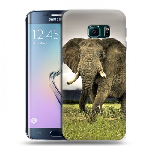 Дизайнерский пластиковый чехол для Samsung Galaxy S6 Edge Слоны