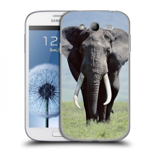 Дизайнерский пластиковый чехол для Samsung Galaxy Grand Слоны