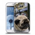 Дизайнерский пластиковый чехол для Samsung Galaxy Grand Собаки