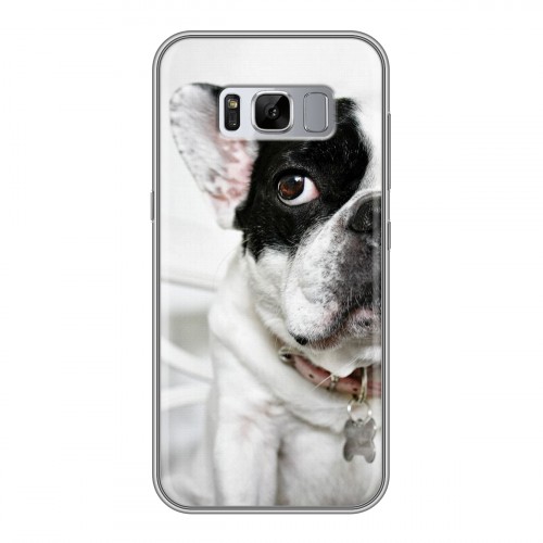 Дизайнерский силиконовый чехол для Samsung Galaxy S8 Plus Собаки