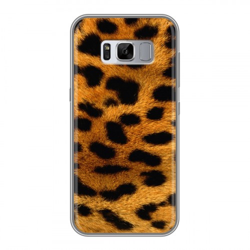 Дизайнерский силиконовый чехол для Samsung Galaxy S8 Plus Леопард