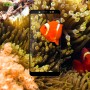 Улучшенное олеофобное 3D полноэкранное защитное стекло Mofi для Xiaomi RedMi Note 5 Pro